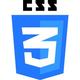 CSS Logo
